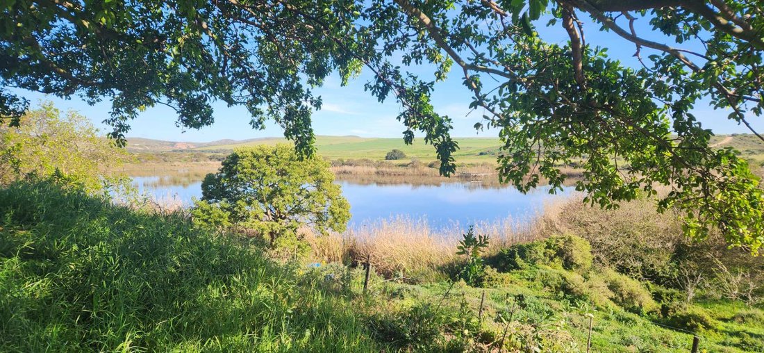 Farm Ranch in Mossel Bay Golf Estate, Western Cape, South Africa 4 - 18640241