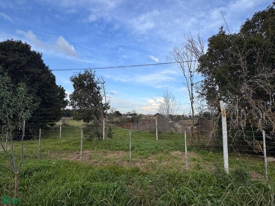 Land in Manuel B. Gonnet, Buenos Aires Province, Argentina 5 - 18640083
