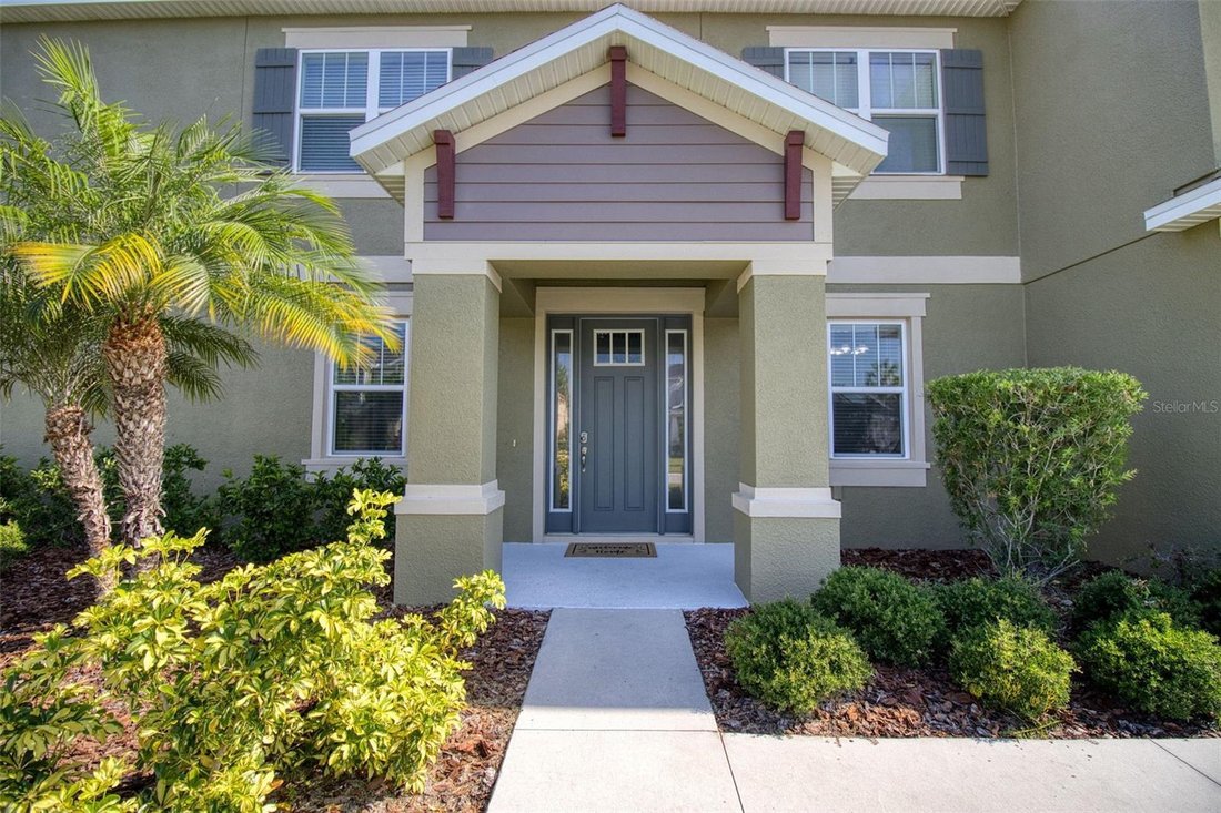 House in Wesley Chapel, Florida, United States 5 - 18640283
