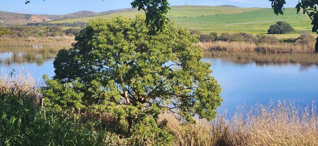 Farm Ranch in Mossel Bay Golf Estate, Western Cape, South Africa 5 - 18640241