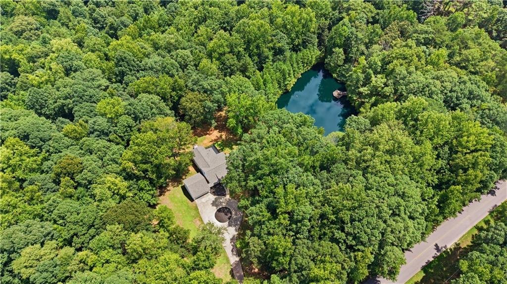 House in Locust Grove, Georgia, United States 1 - 18640485