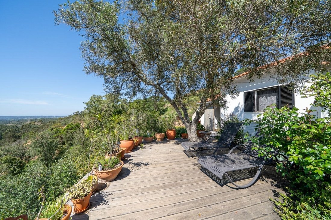 Farm Ranch in Aljezur, Algarve, Portugal 5 - 18640761