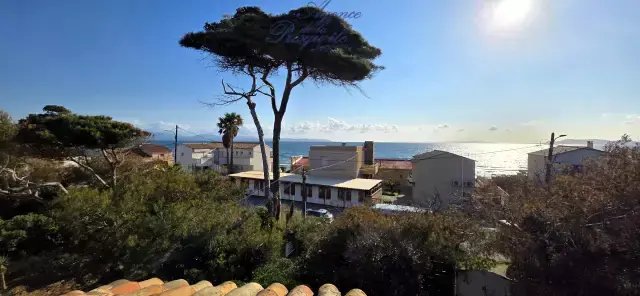 House in Hyeres, Provence-Alpes-Côte d'Azur, France 4 - 17486402