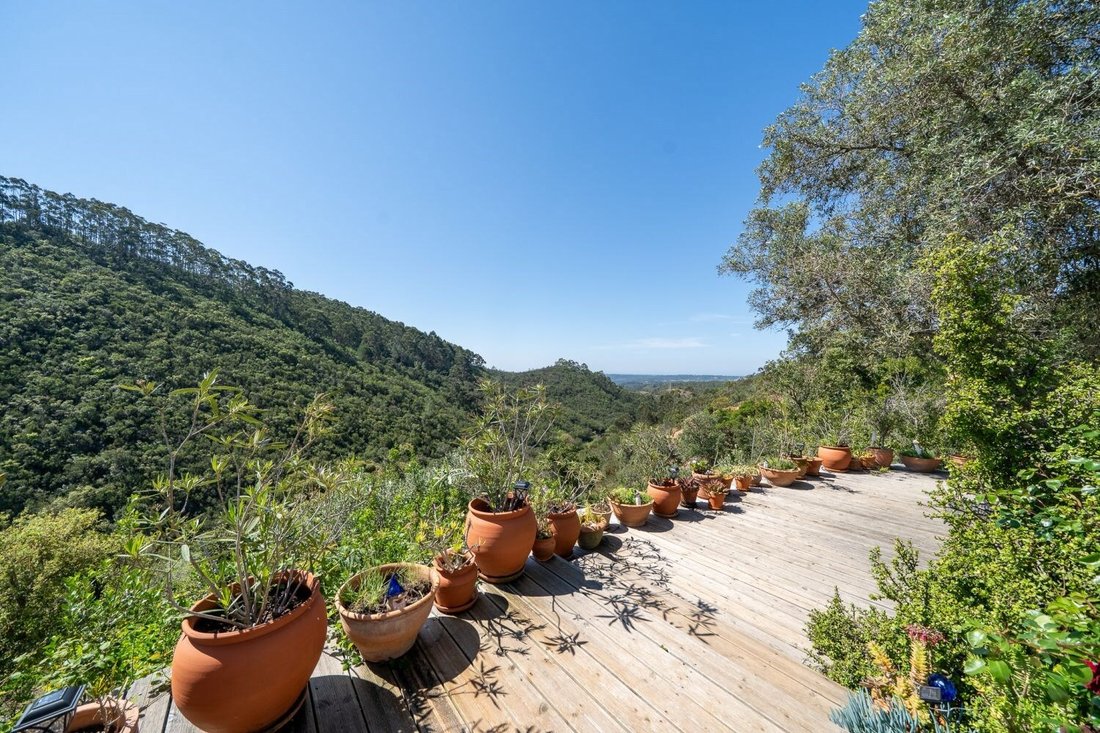 Farm Ranch in Aljezur, Algarve, Portugal 4 - 18640761