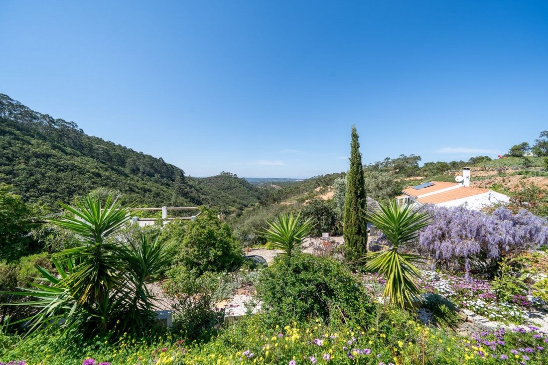 Farm Ranch in Aljezur, Algarve, Portugal 1 - 18640761