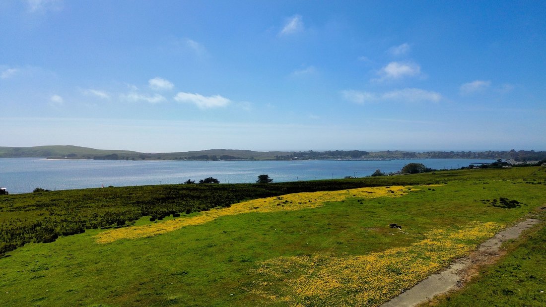 Land in Bodega Bay, California, United States 3 - 18640526