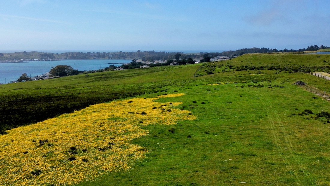 Terreno en Bodega Bay, California, Estados Unidos 3 - 18640526