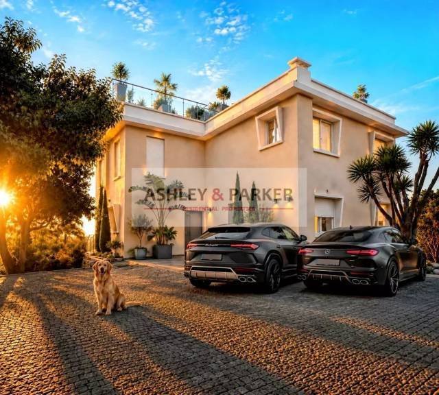Villa in Fontmerle, Antibes, France 1 - 17010242