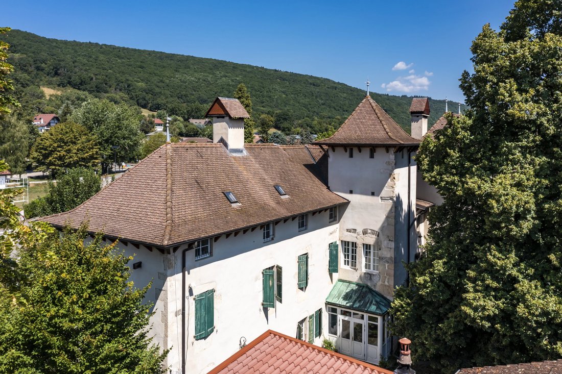 Château à Grilly, Auvergne-Rhône-Alpes, France 1 - 16402332