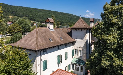 Castle in Grilly, Auvergne-Rhône-Alpes, France 1