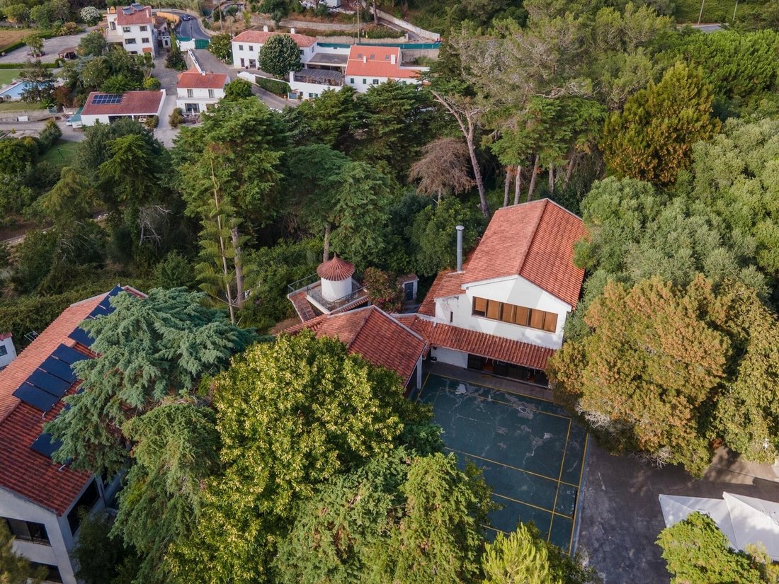 Azienda agricola a Sintra, Lisbona, Portogallo 2 - 18442672