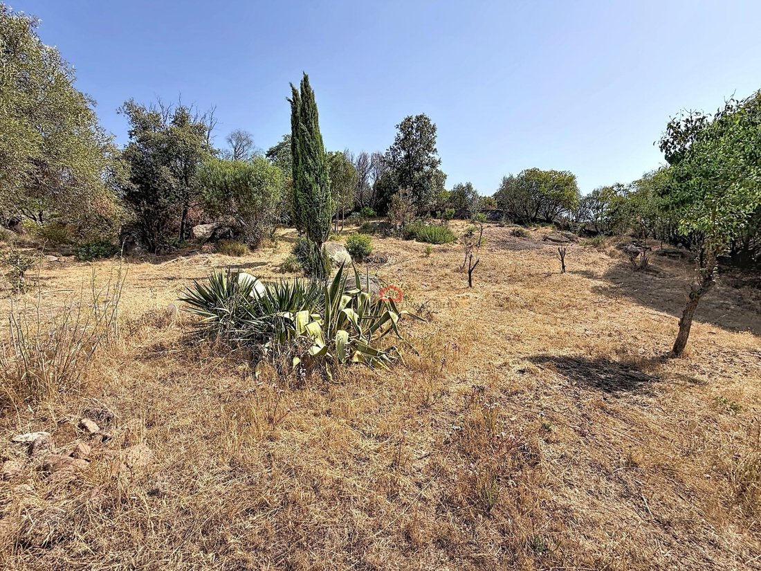 Land in Albitreccia, Corsica, France 1 - 18641285