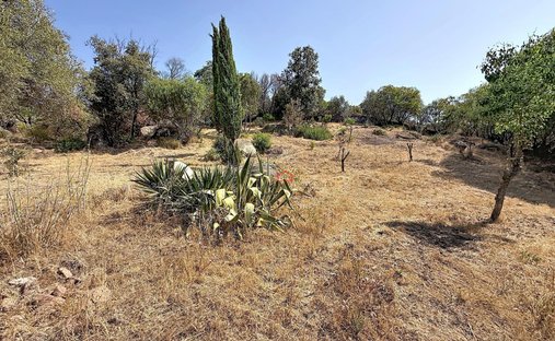 Land in Albitreccia, Corsica, France 1