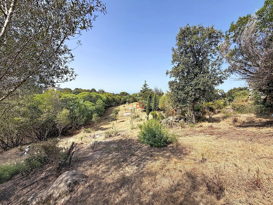 Land in Albitreccia, Corsica, France 4 - 18641285