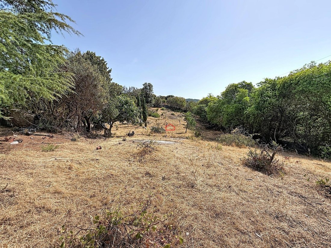 Land in Albitreccia, Corsica, France 5 - 18641285