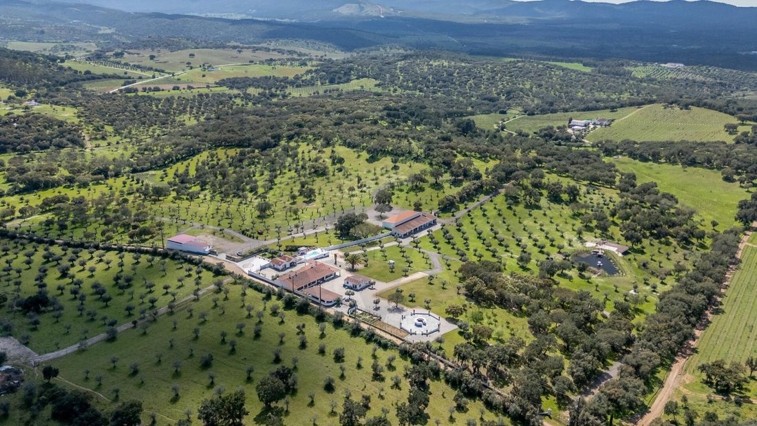 Farm Ranch in Estremoz (Santa Maria e Santo Andre), Distrikt Évora, Portugal 1 - 16975400