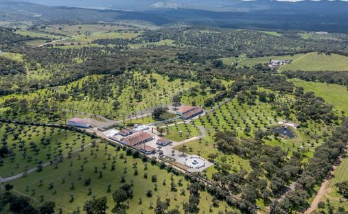 Farm Ranch in Estremoz (Santa Maria e Santo Andre), Évora District, Portugal 1