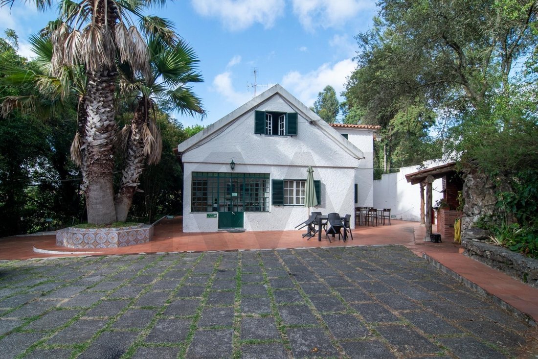 Azienda agricola a Sintra, Lisbona, Portogallo 5 - 18442672
