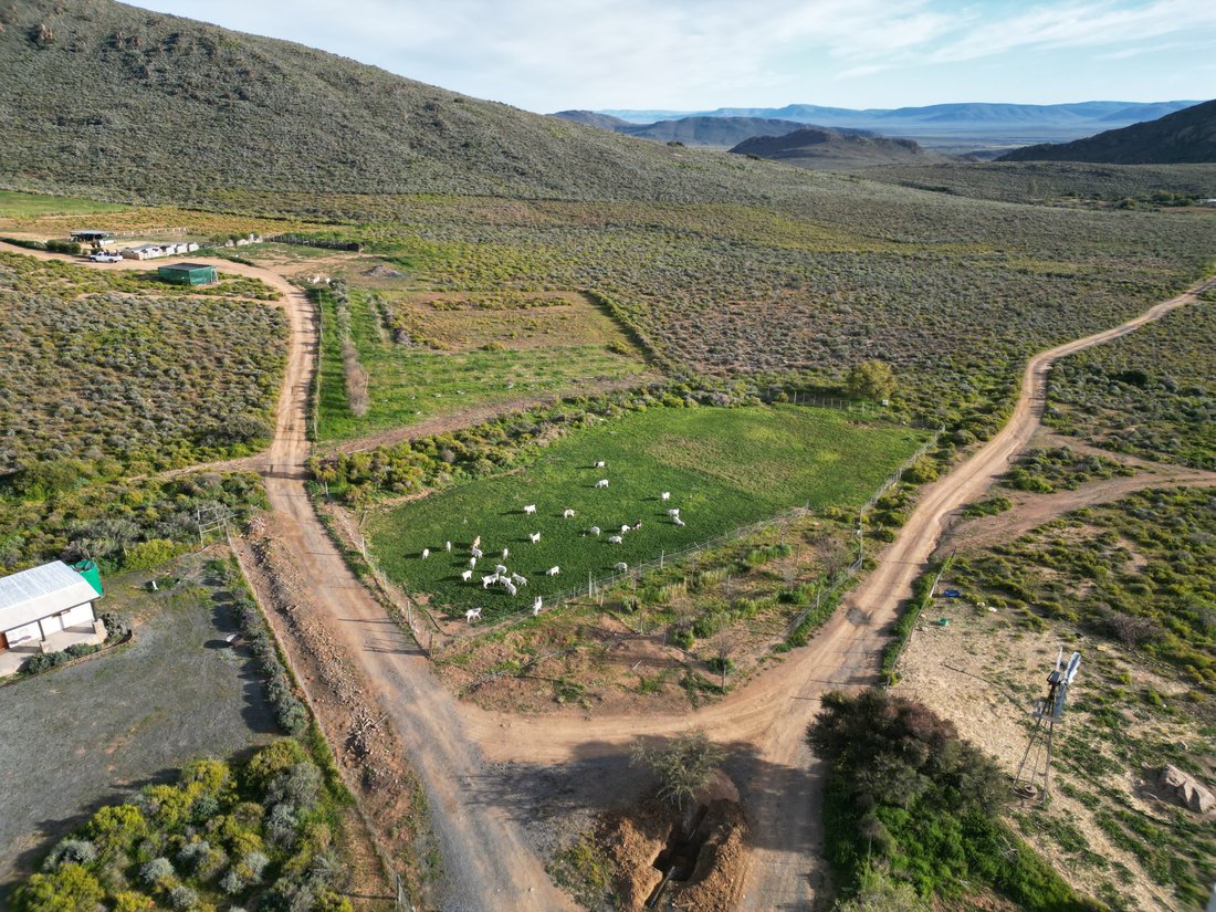 Farm Ranch in Laingsburg Local Municipality, Western Cape, South Africa 4 - 18641140