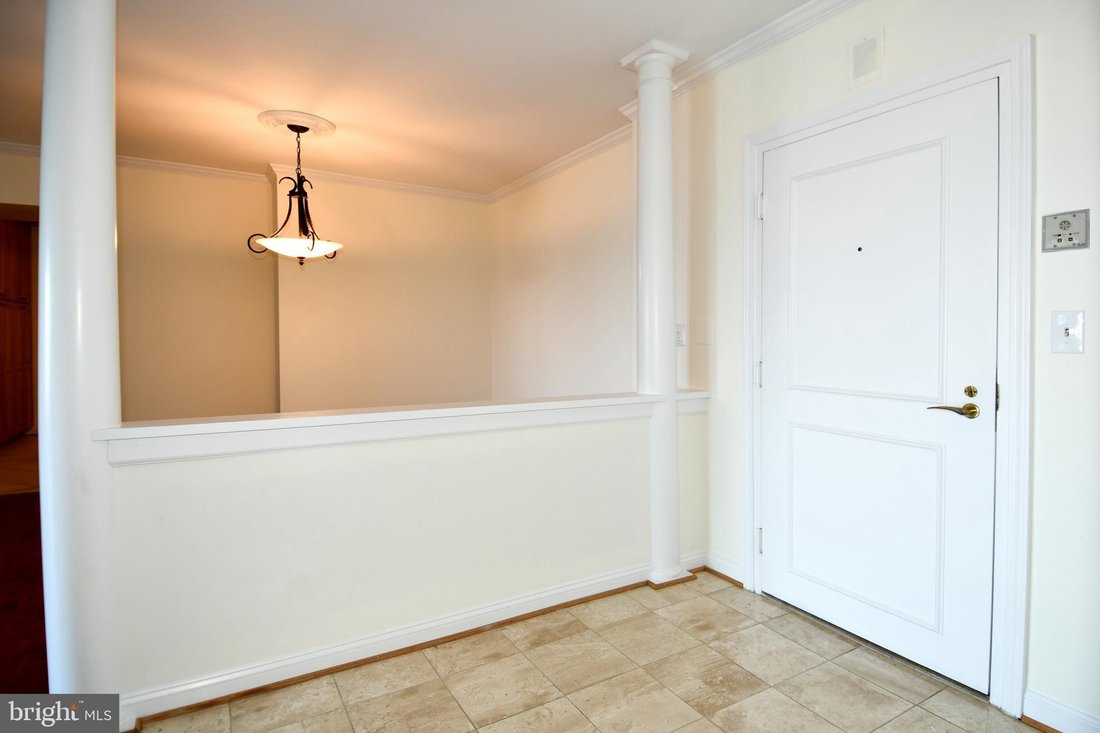 Condo in Alexandria, Virginia, United States 2 - 18641396