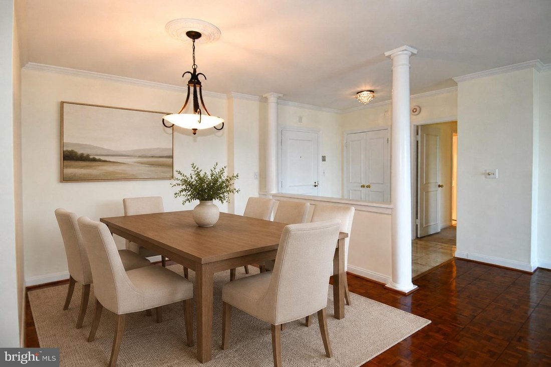 Condo in Alexandria, Virginia, United States 5 - 18641396