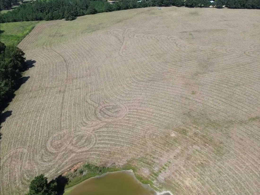 Land in Magnolia, Mississippi, United States 1 - 18641781