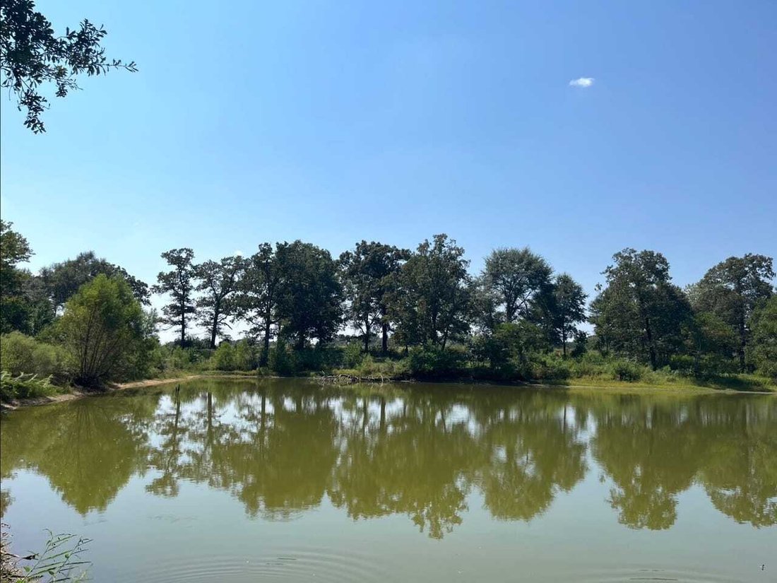 Land in Magnolia, Mississippi, United States 2 - 18641781