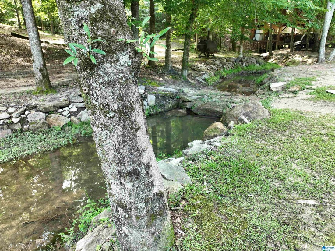 House in Jacksons' Gap, Alabama, United States 4 - 18641766