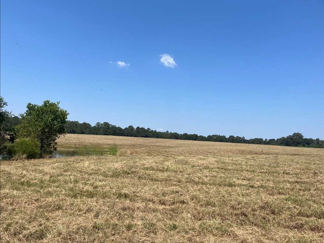 Land in Magnolia, Mississippi, United States 5 - 18641781