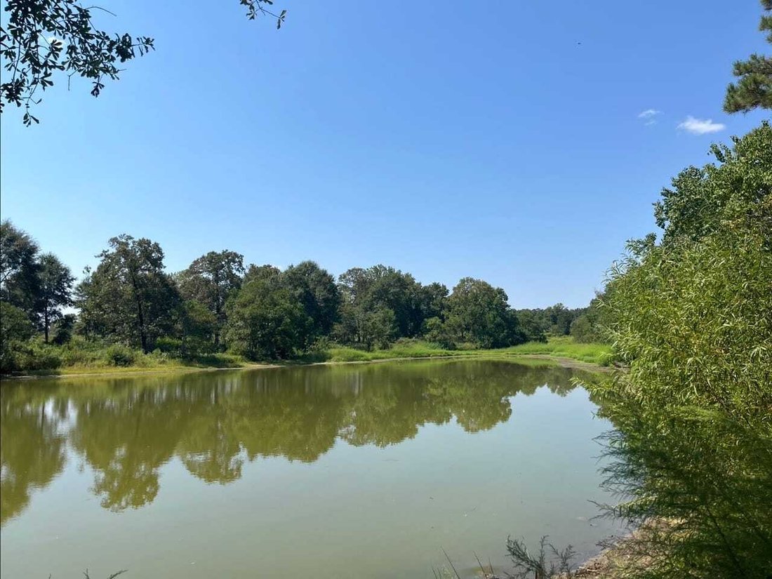 Land in Magnolia, Mississippi, United States 3 - 18641781