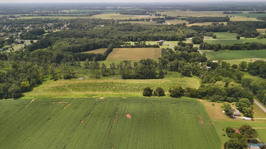 Land in Hazel Green, Alabama, United States 3 - 18340873
