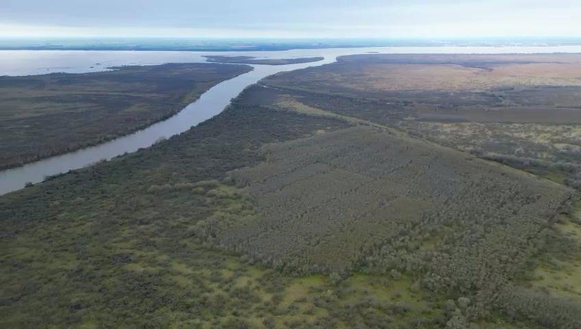 Private Island in Brazo Largo, Entre Rios, Argentina 3 - 18644658