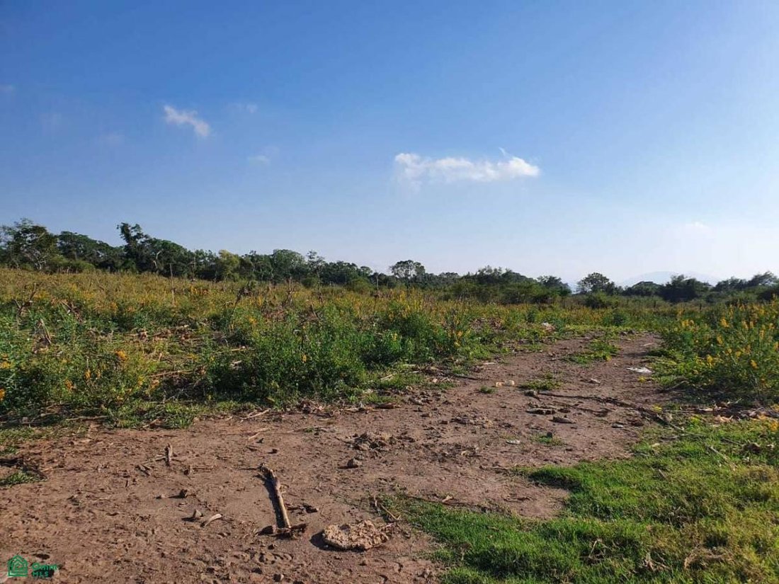 Land in El Chanal, Colima, Mexico 5 - 17811085