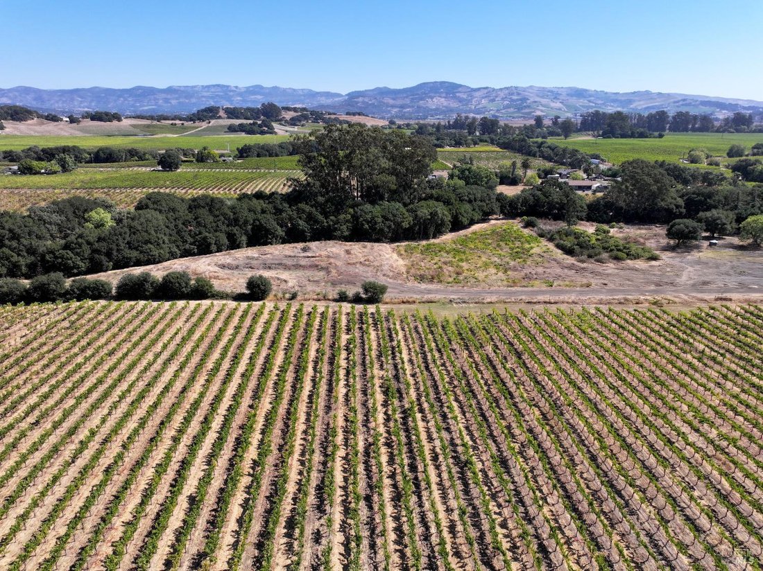 House in Napa, California, United States 3 - 18643376
