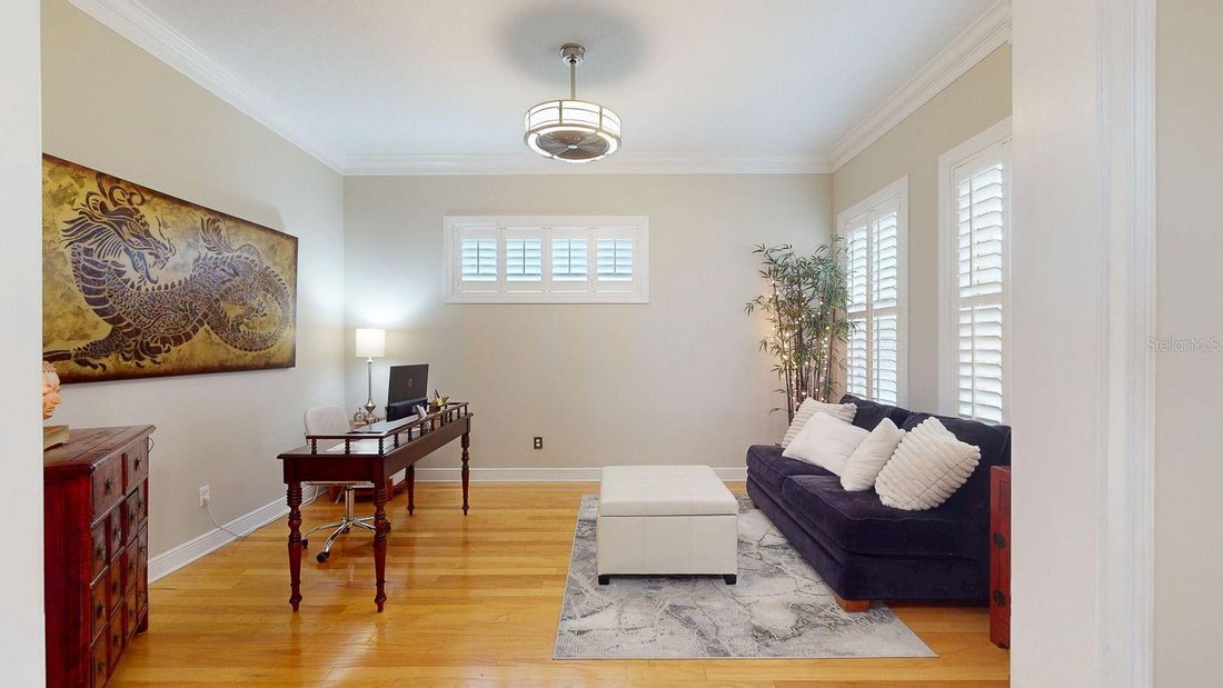 House in Tampa, Florida, United States 5 - 18646341