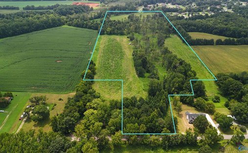 Terreno a Hazel Green, Alabama, Stati Uniti 1