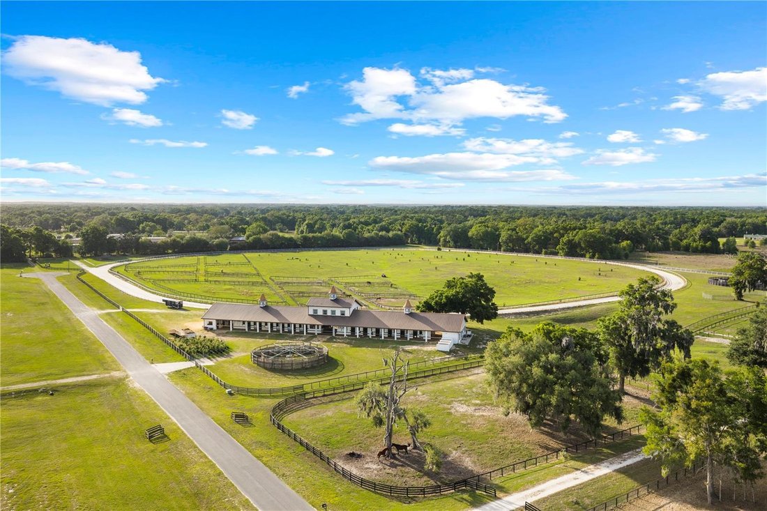 Farm Ranch in Reddick, Florida, United States 5 - 18642799