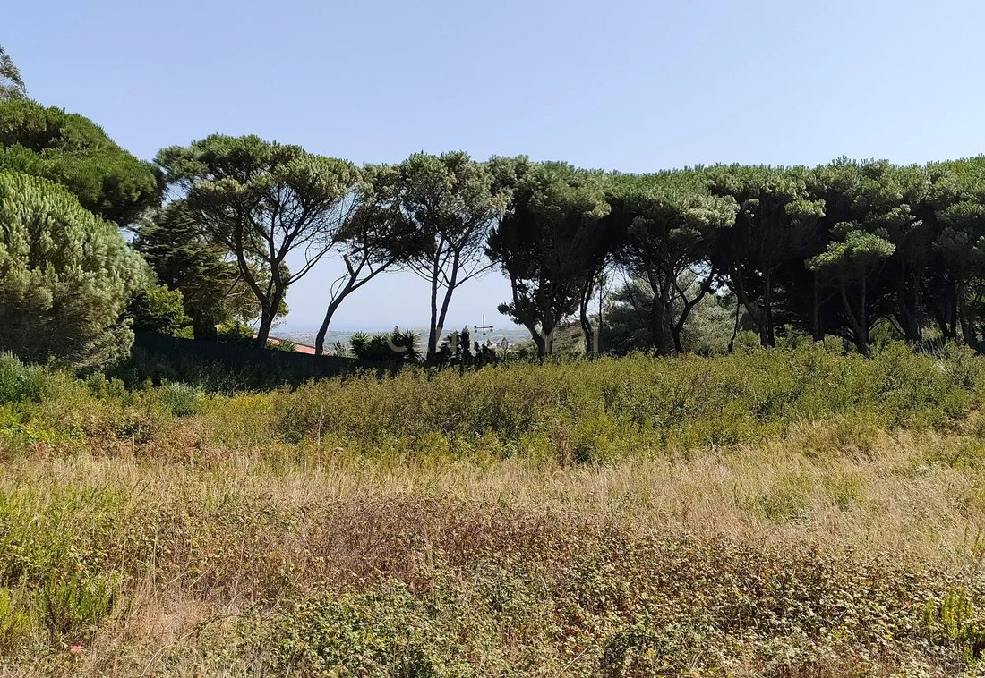 Land in Alcabideche, Lisbon, Portugal 1 - 13444090