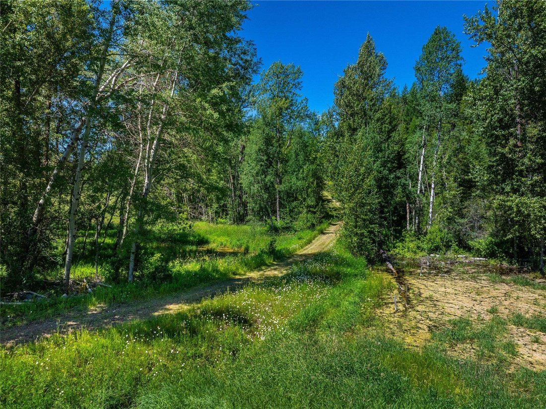 Land in West Glacier, Montana, United States 5 - 18643500