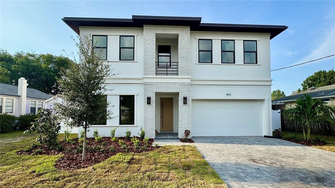 House in Tampa, Florida, United States 1 - 17882510