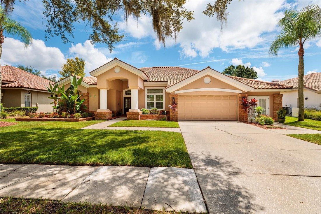 House in Oldsmar, Florida, United States 1 - 18646317
