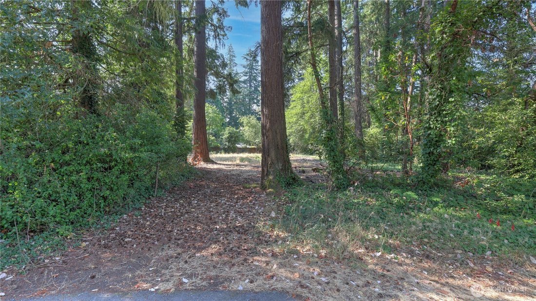 Land in Mercer Island, Washington, United States 3 - 18648589
