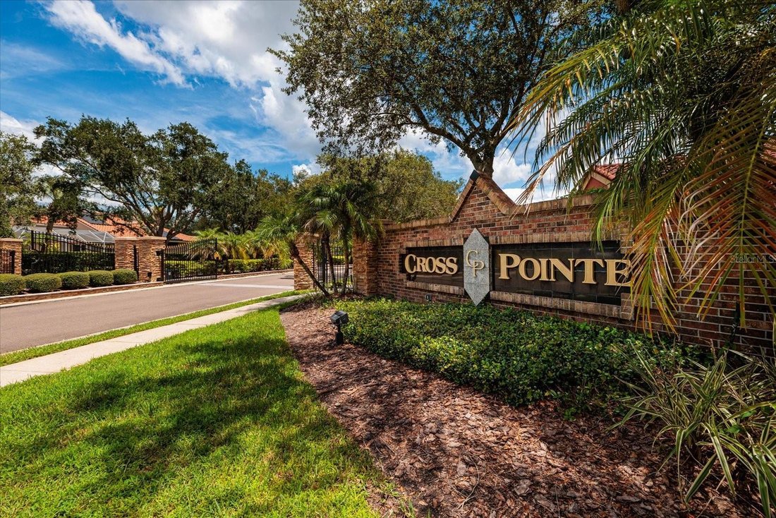House in Oldsmar, Florida, United States 5 - 18646317