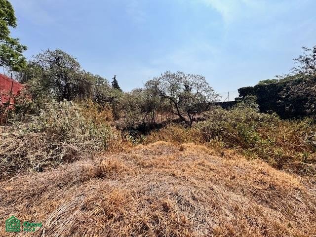 Land in Mexico City, Mexico 4 - 17811392