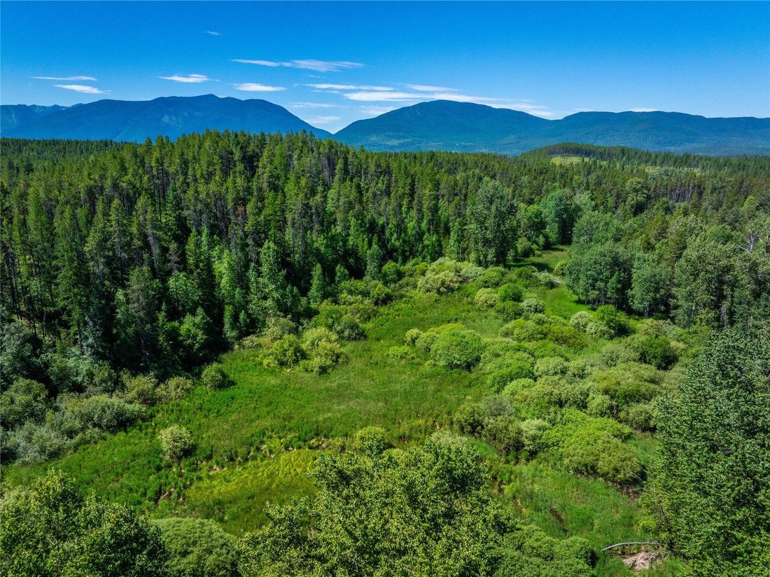 West Glacier, Montana, United States 4 - 18643574