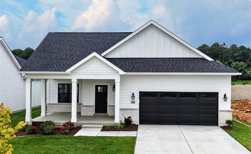 Haus in O'Fallon, Missouri, Vereinigte Staaten 1