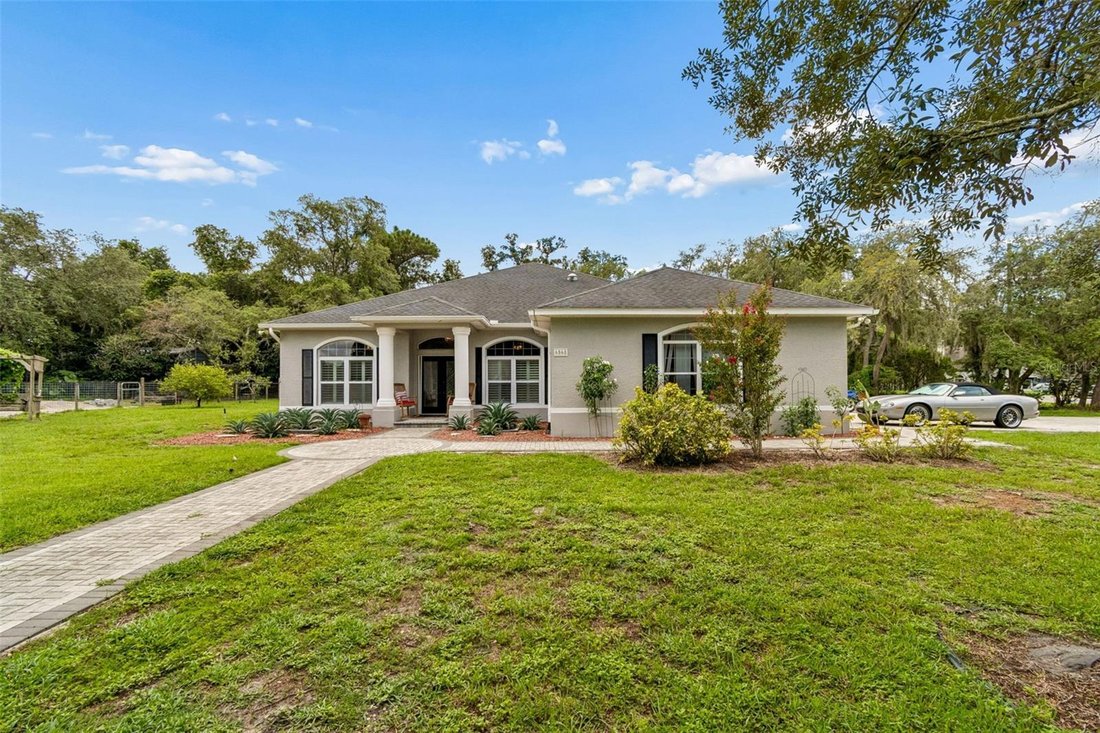 House in Trinity, Florida, United States 5 - 18642247