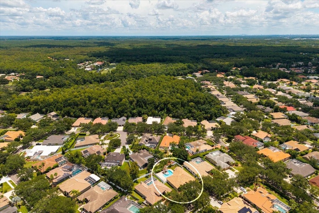 House in Oldsmar, Florida, United States 4 - 18646317