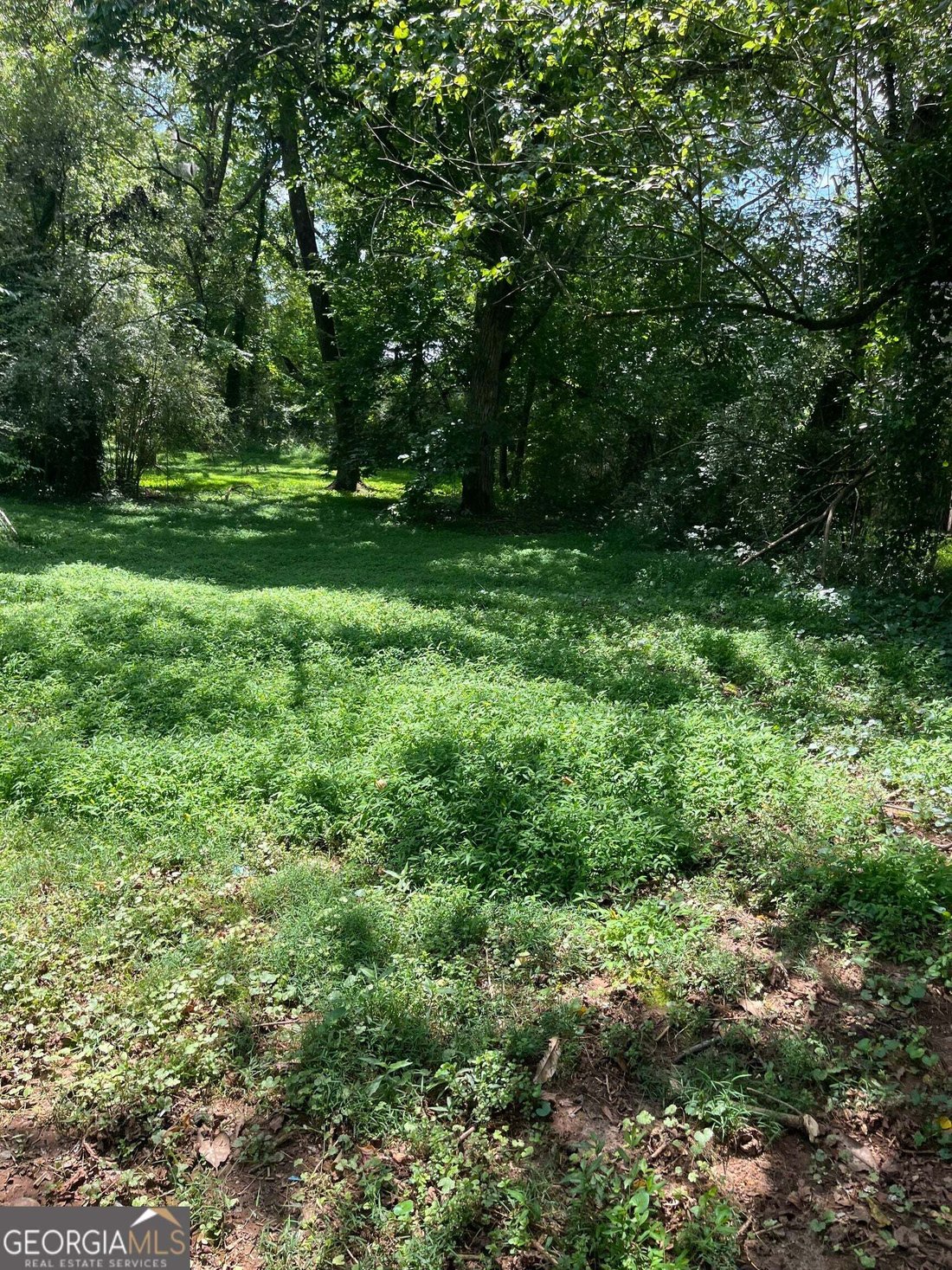 House in Clarkesville, Georgia, United States 4 - 18642085