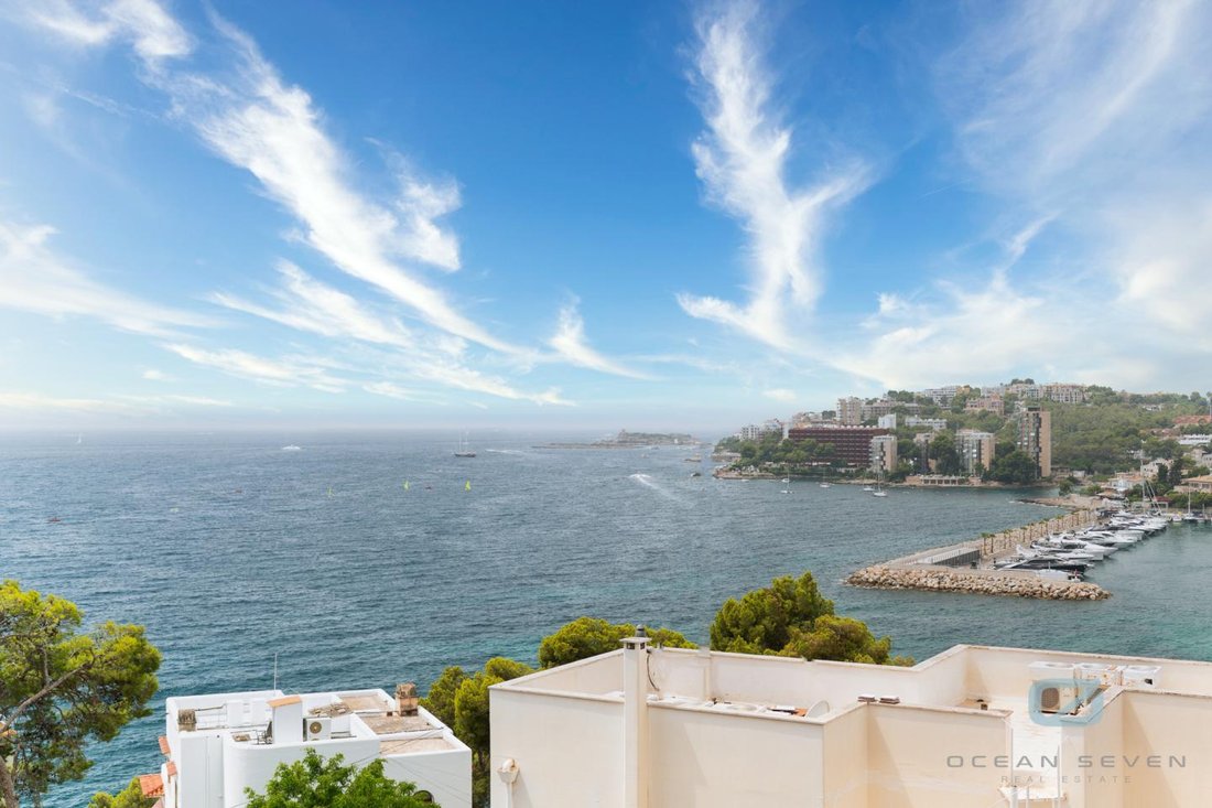 Apartment in Palma, Balearic Islands, Spain 1 - 18645746